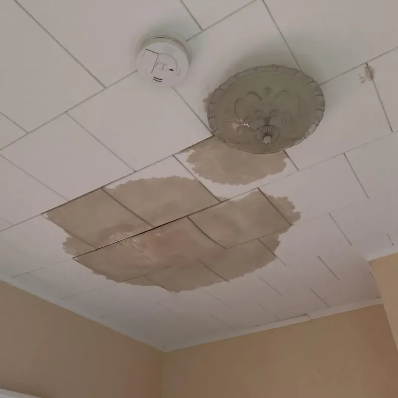 Ceiling Water Damage Repair in Finderne, NJ